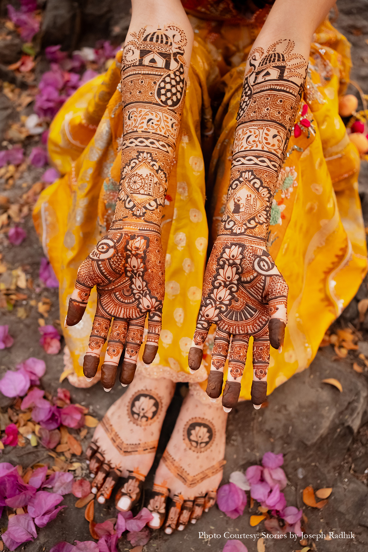 Sahiba and Anirudh, Udaipur