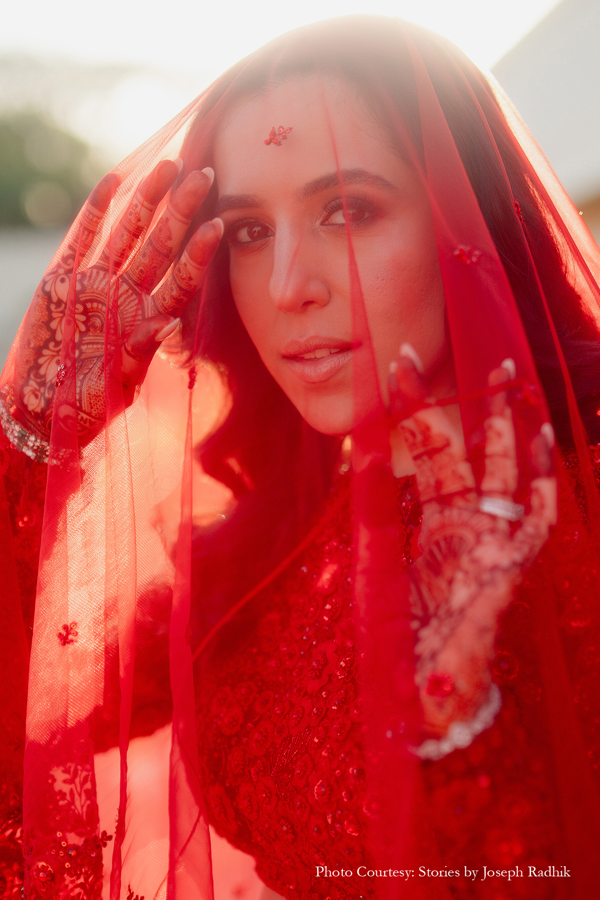 Sahiba and Anirudh, Udaipur