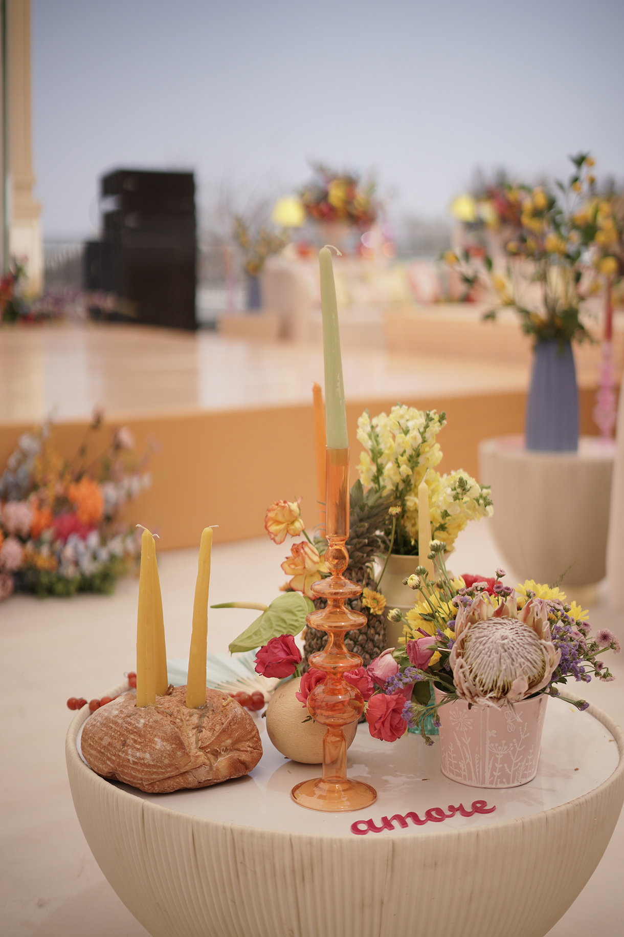 Sakshi Bhandari and Rikin Mehta, Udaipur