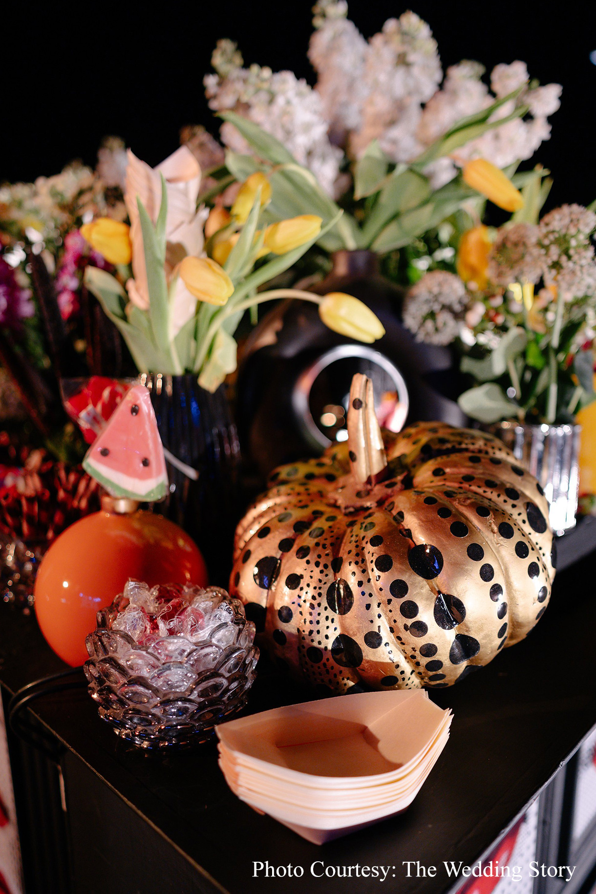 Samya & Shivam, Udaipur