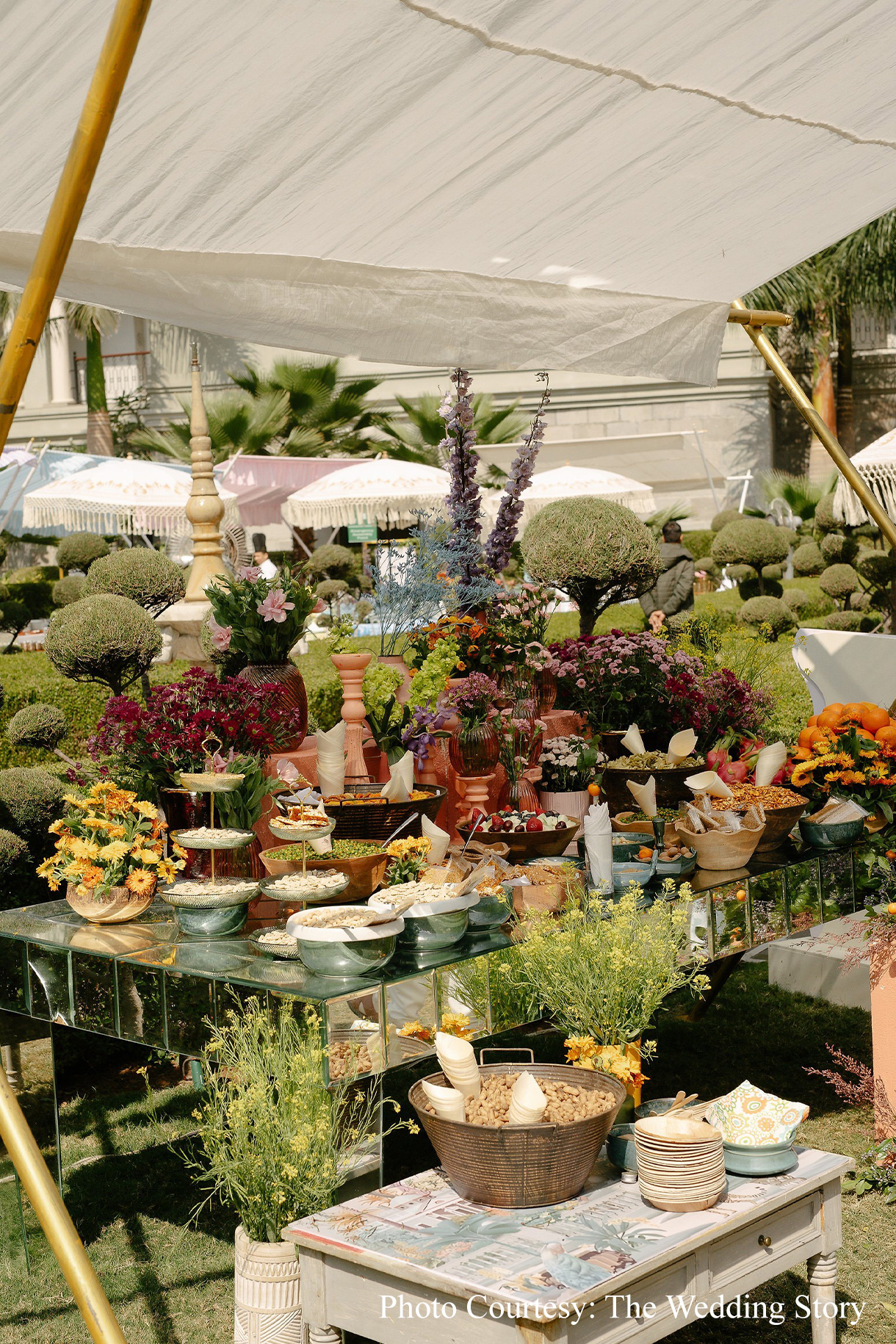 Samya & Shivam, Udaipur