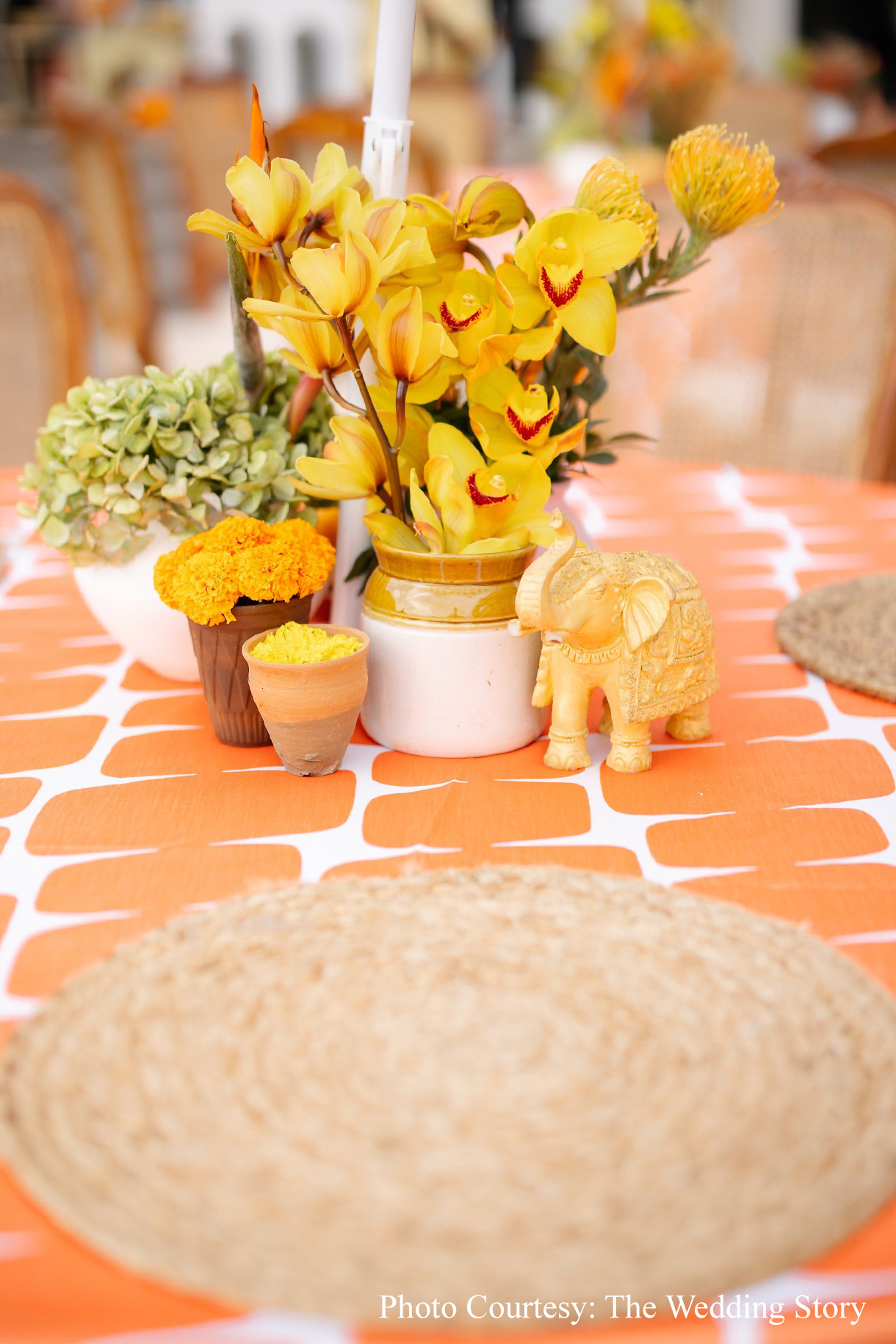 Samya & Shivam, Udaipur