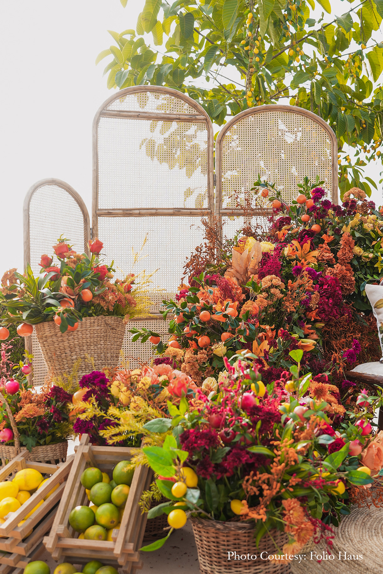 Sana Karnawat and Shaunak Gupta, Udaipur