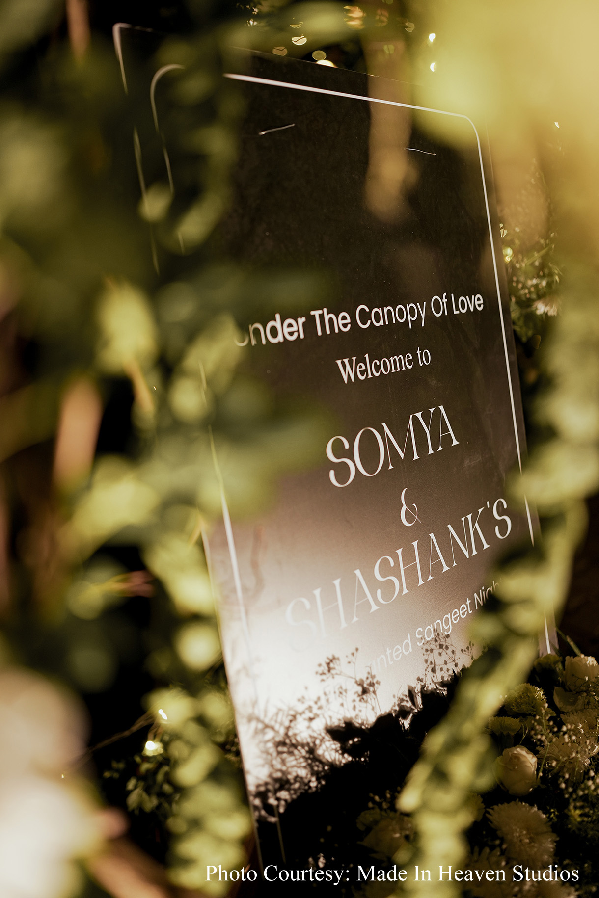 Somya and Shashank, Jim Corbett