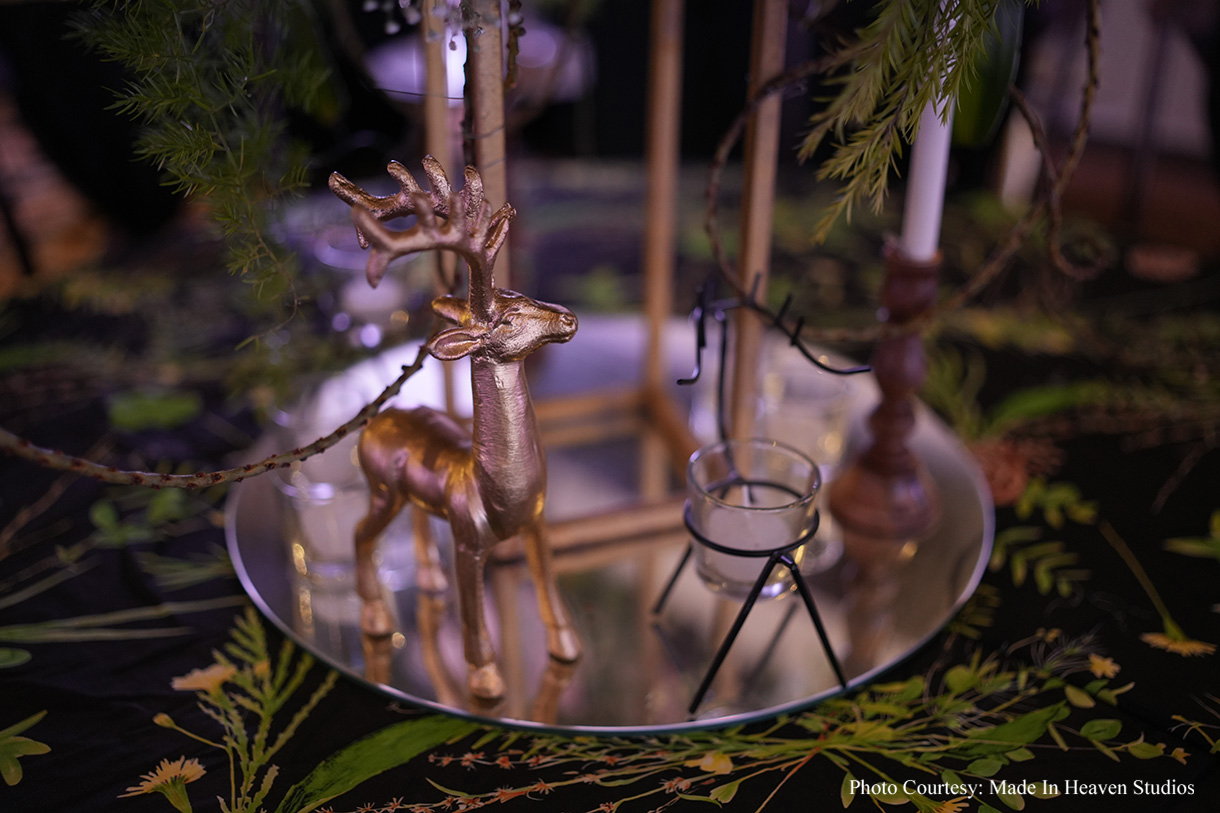 Somya and Shashank, Jim Corbett