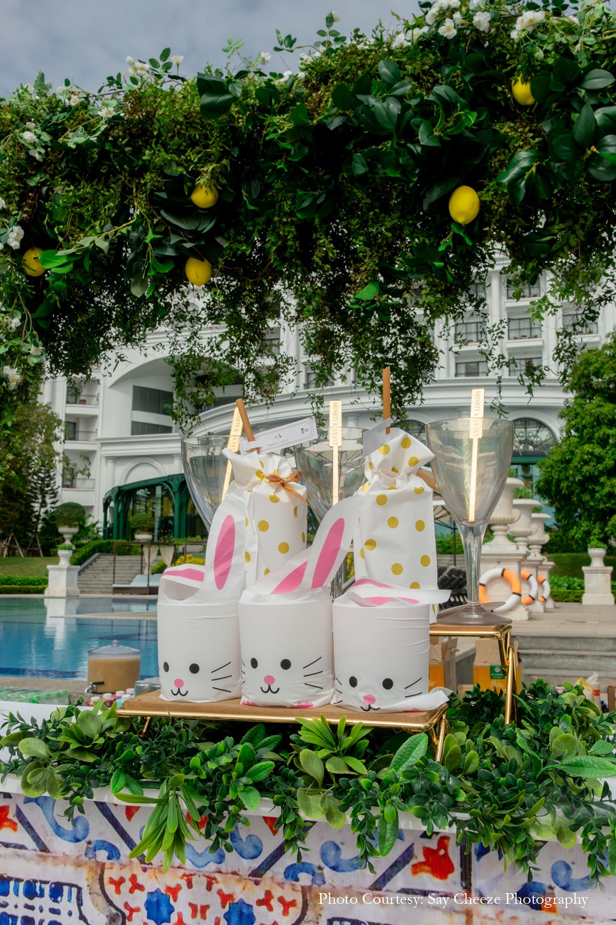 Srishti and Anant, Vietnam