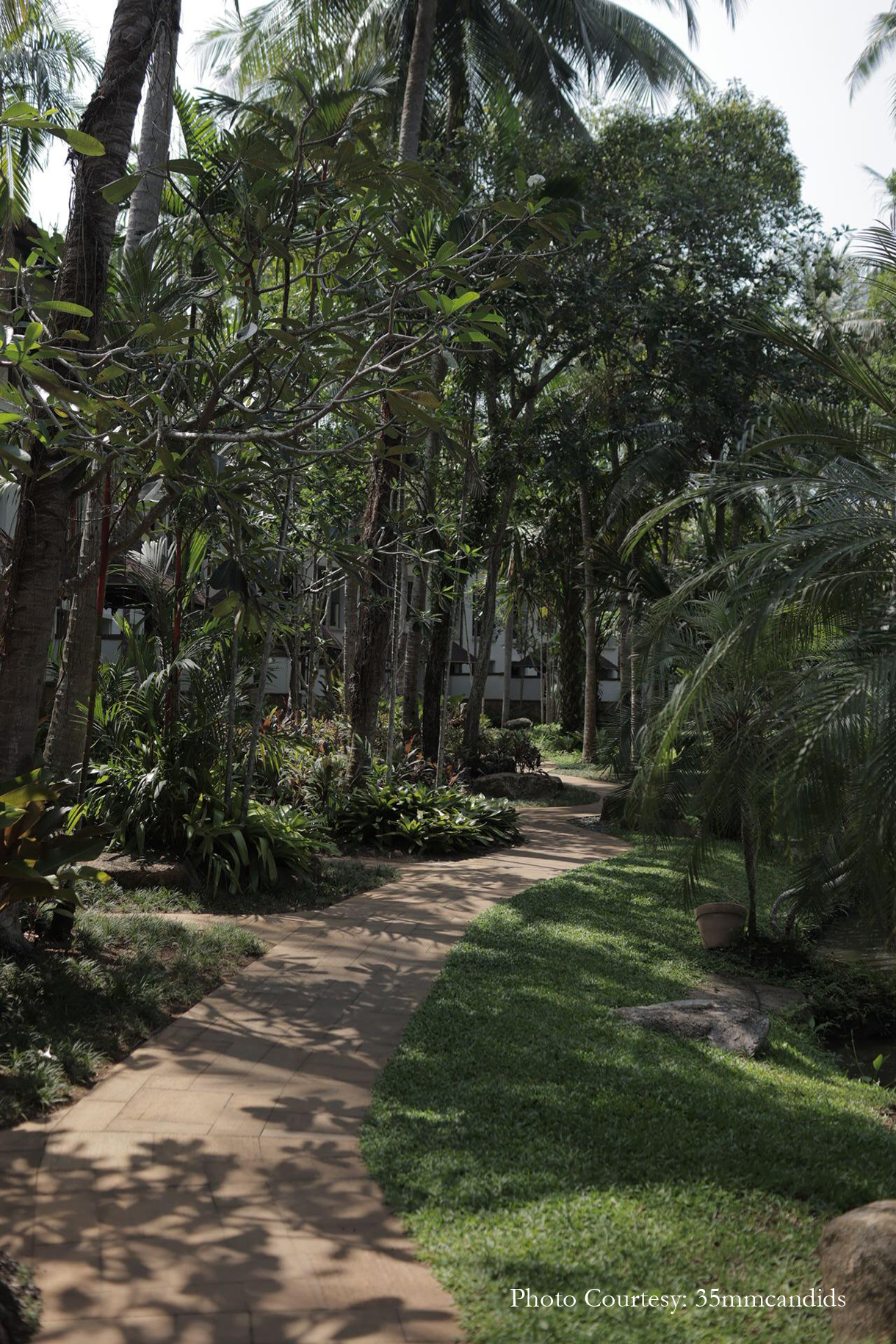 Surbhi Chawla and Karan Malhotra, Thailand