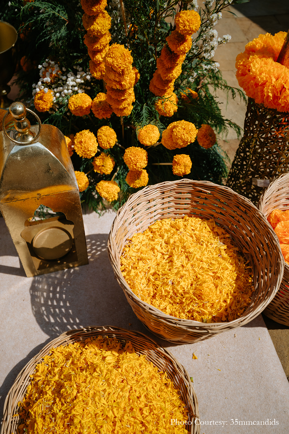 Surbhi Chawla and Karan Malhotra, Thailand