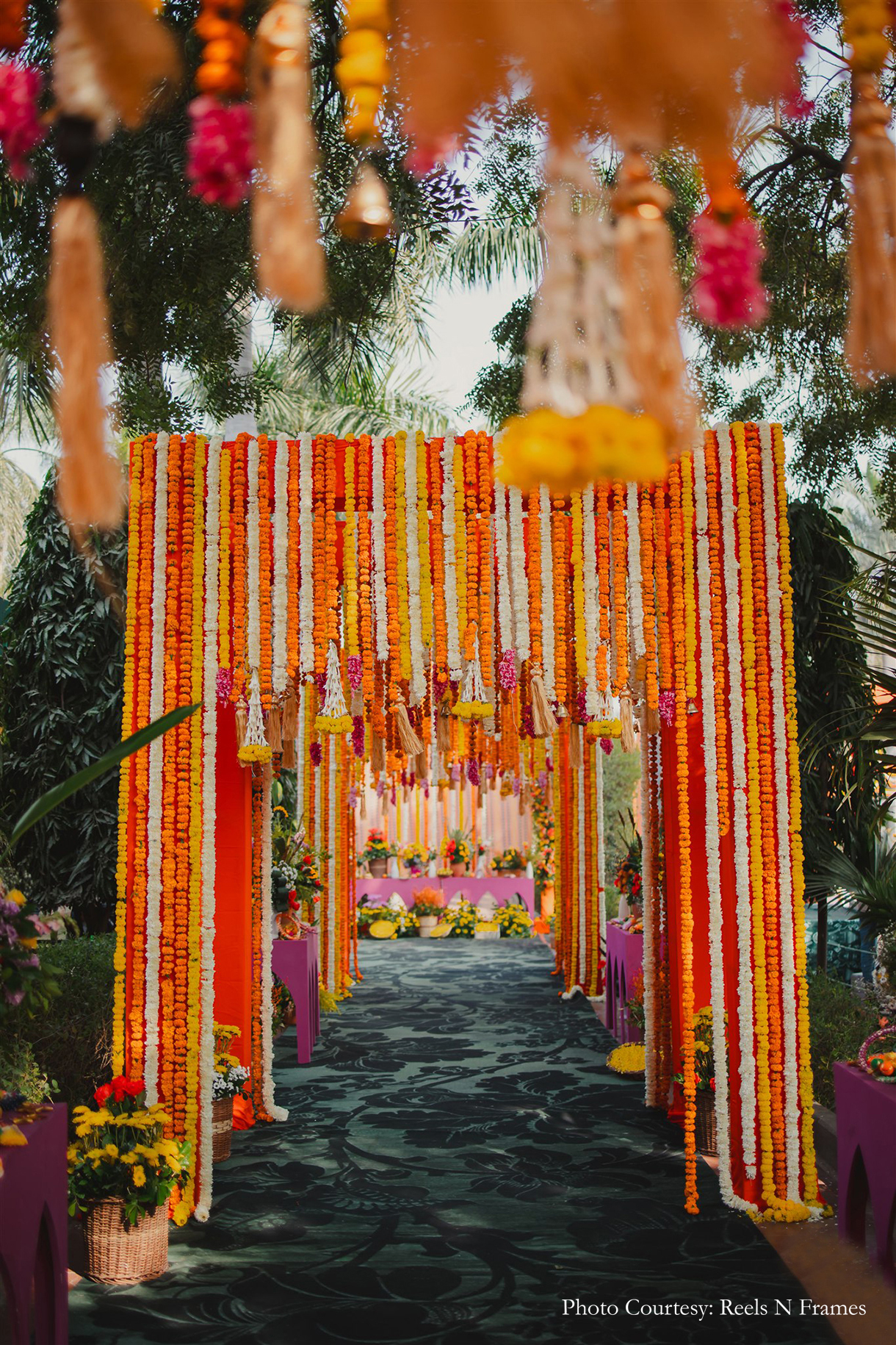 Tarini Gupta and Abhishek Dhawan, Bharatpur