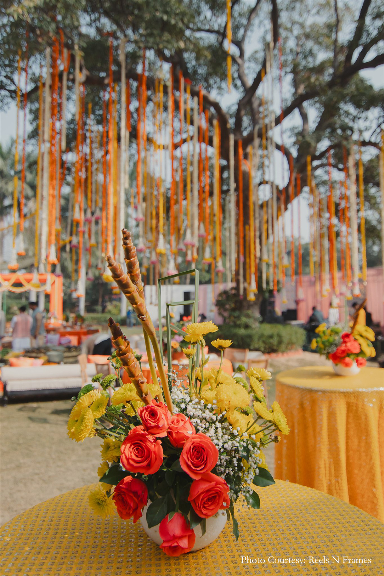 Tarini Gupta and Abhishek Dhawan, Bharatpur