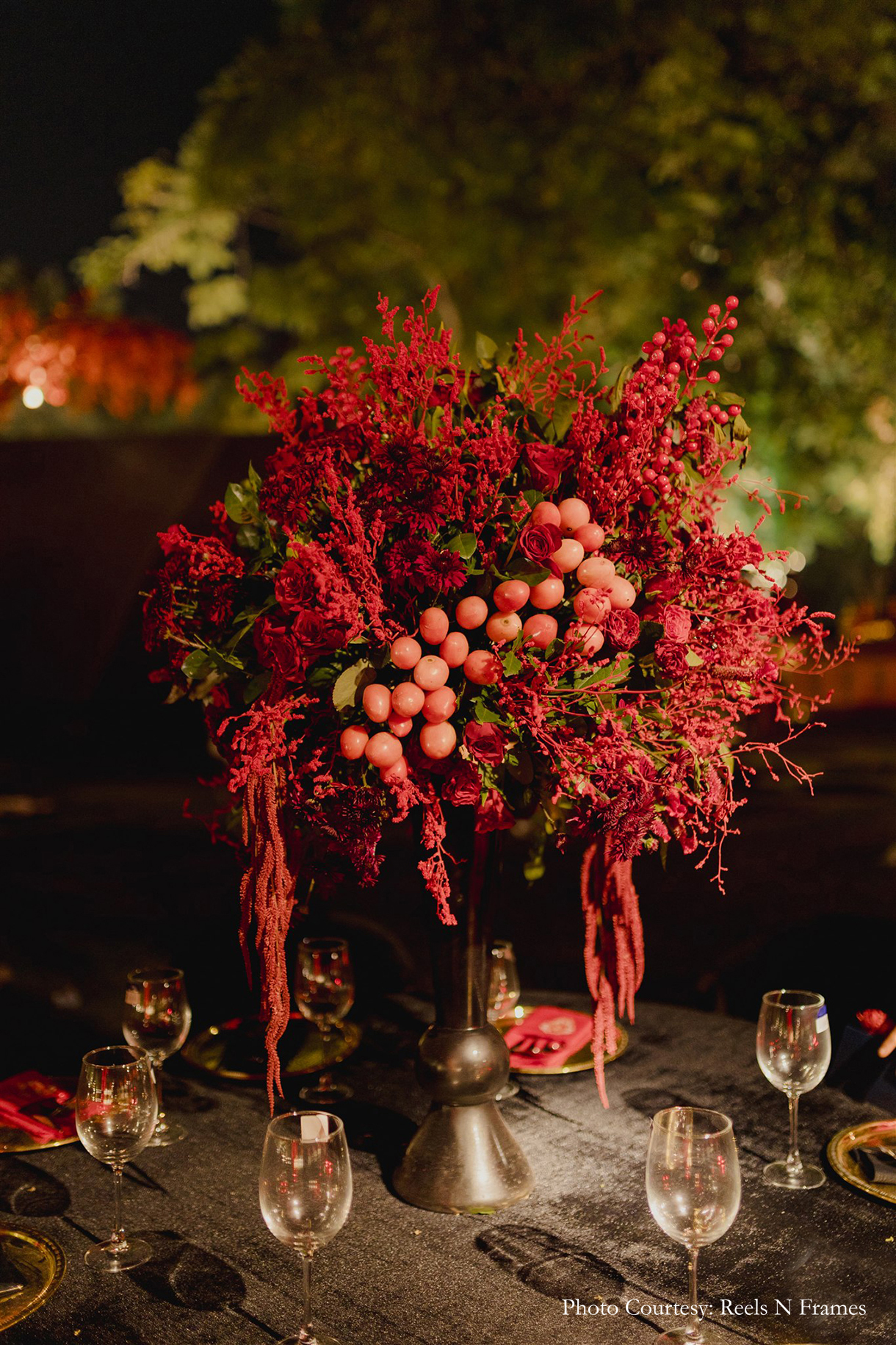 Tarini Gupta and Abhishek Dhawan, Bharatpur