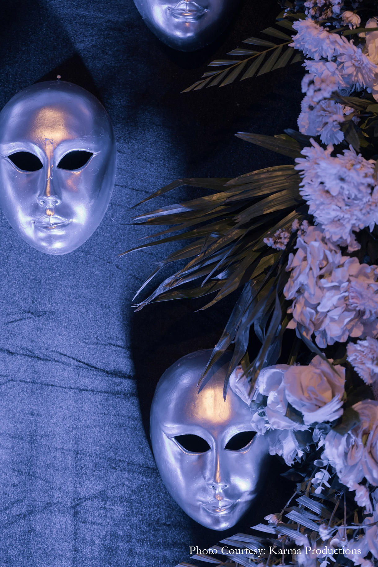 Vandita Saxena and Vivek Mall, Udaipur