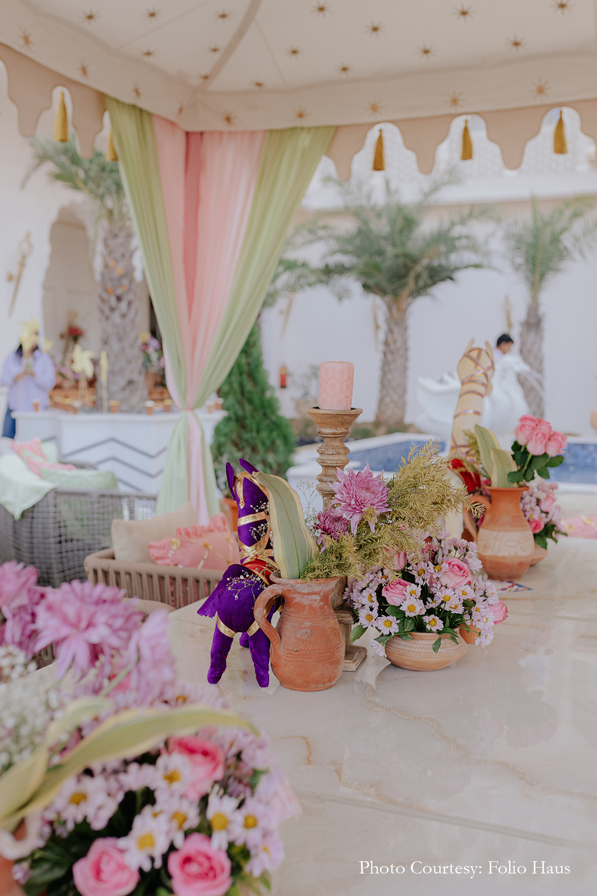 Vasudha Batra and Manu Karel, Jaipur