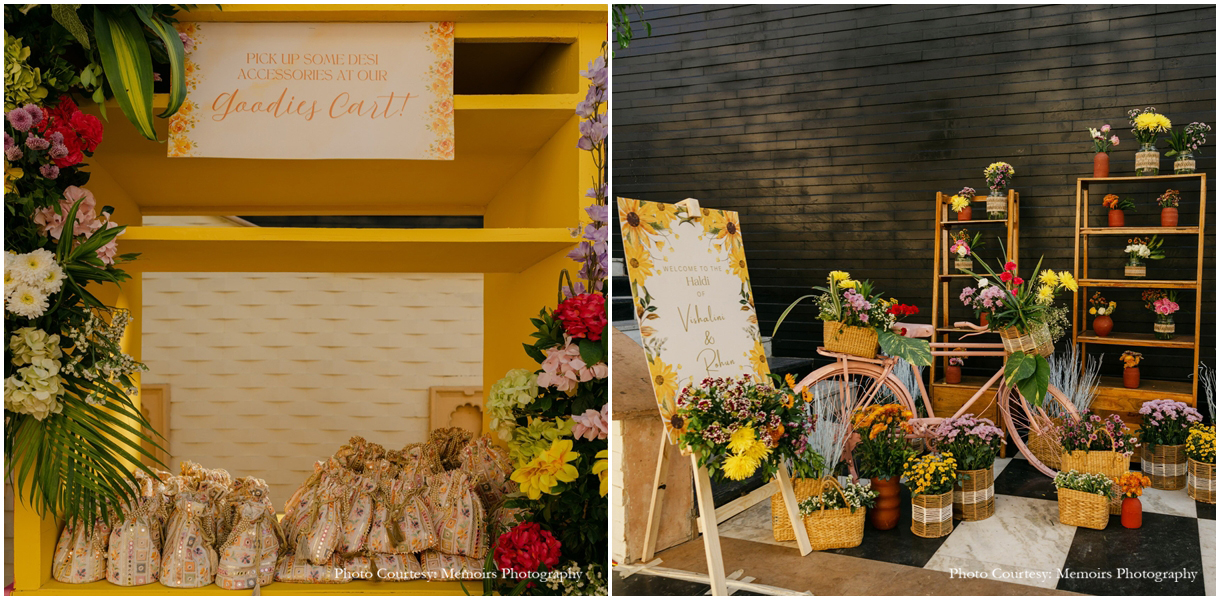 Vishalini and Rohun, Udaipur