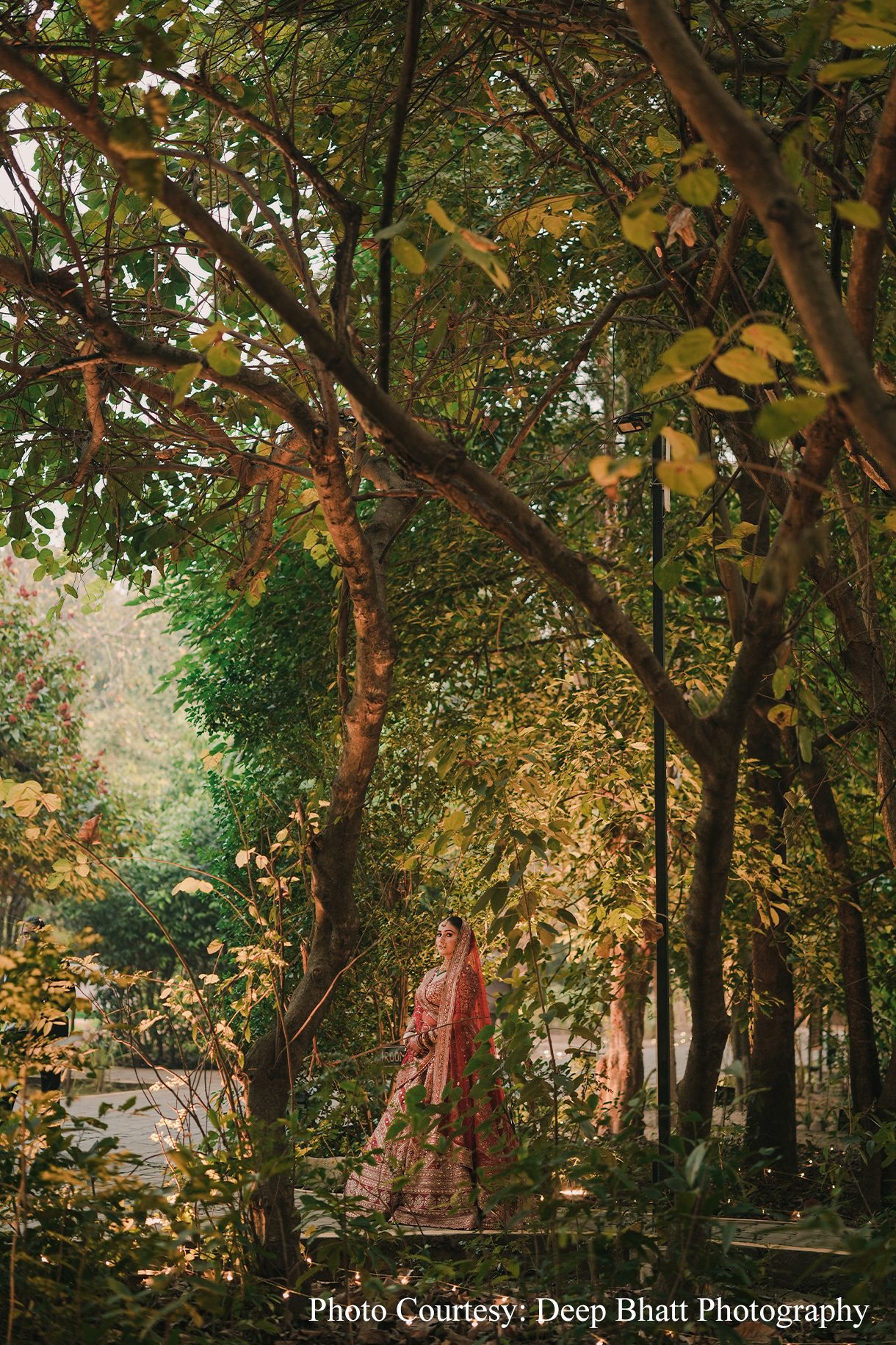 Akshat and Mimansa, Jim Corbett