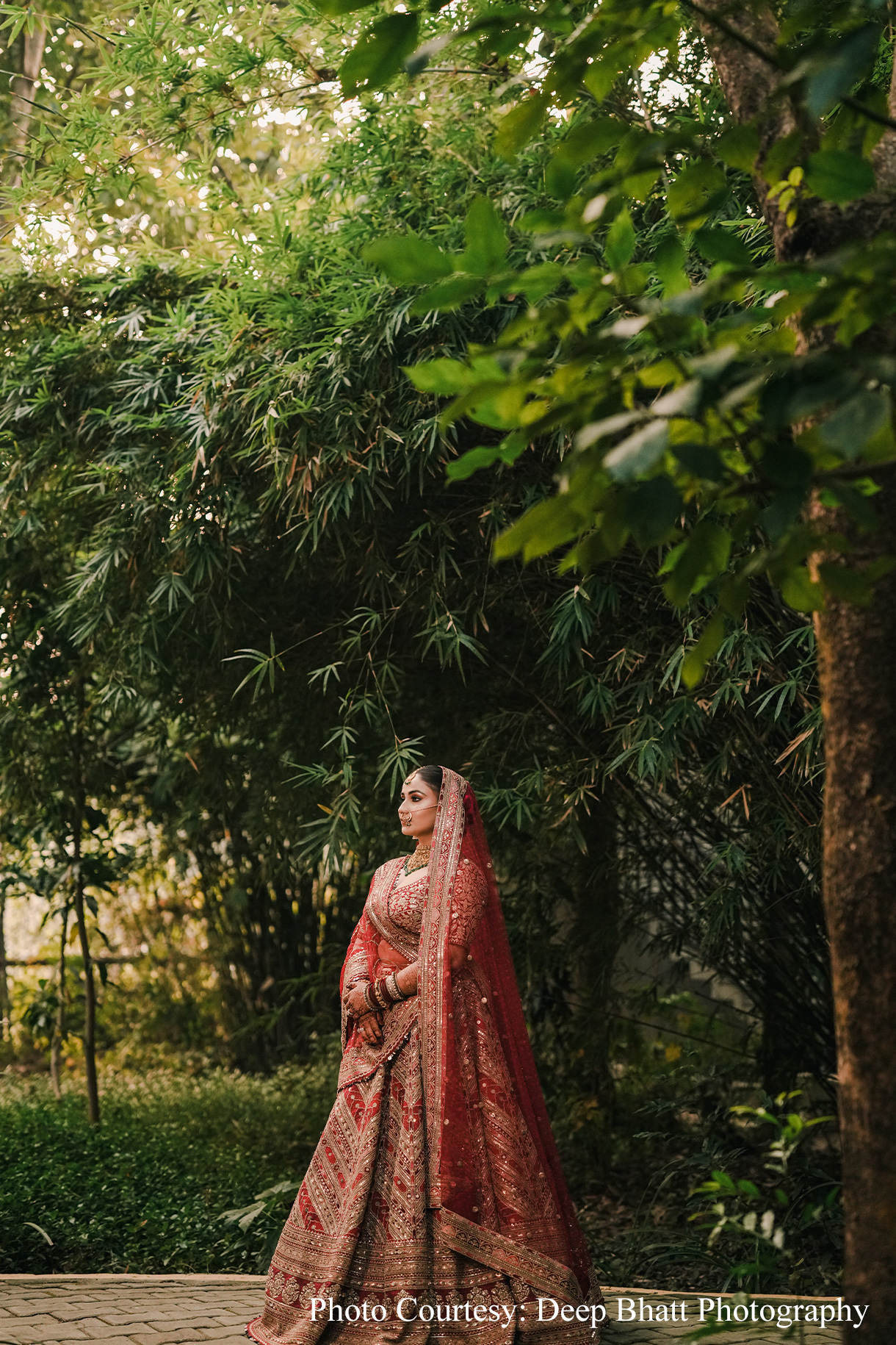 Akshat and Mimansa, Jim Corbett