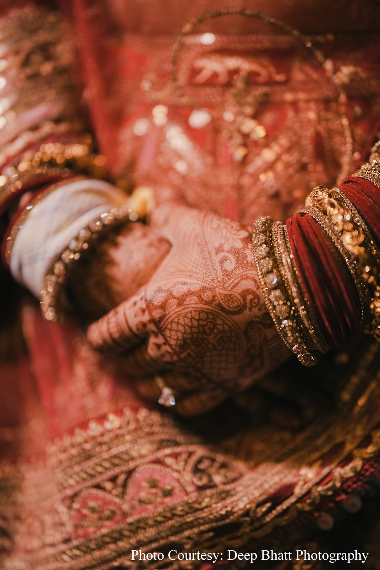 Akshat and Mimansa, Jim Corbett