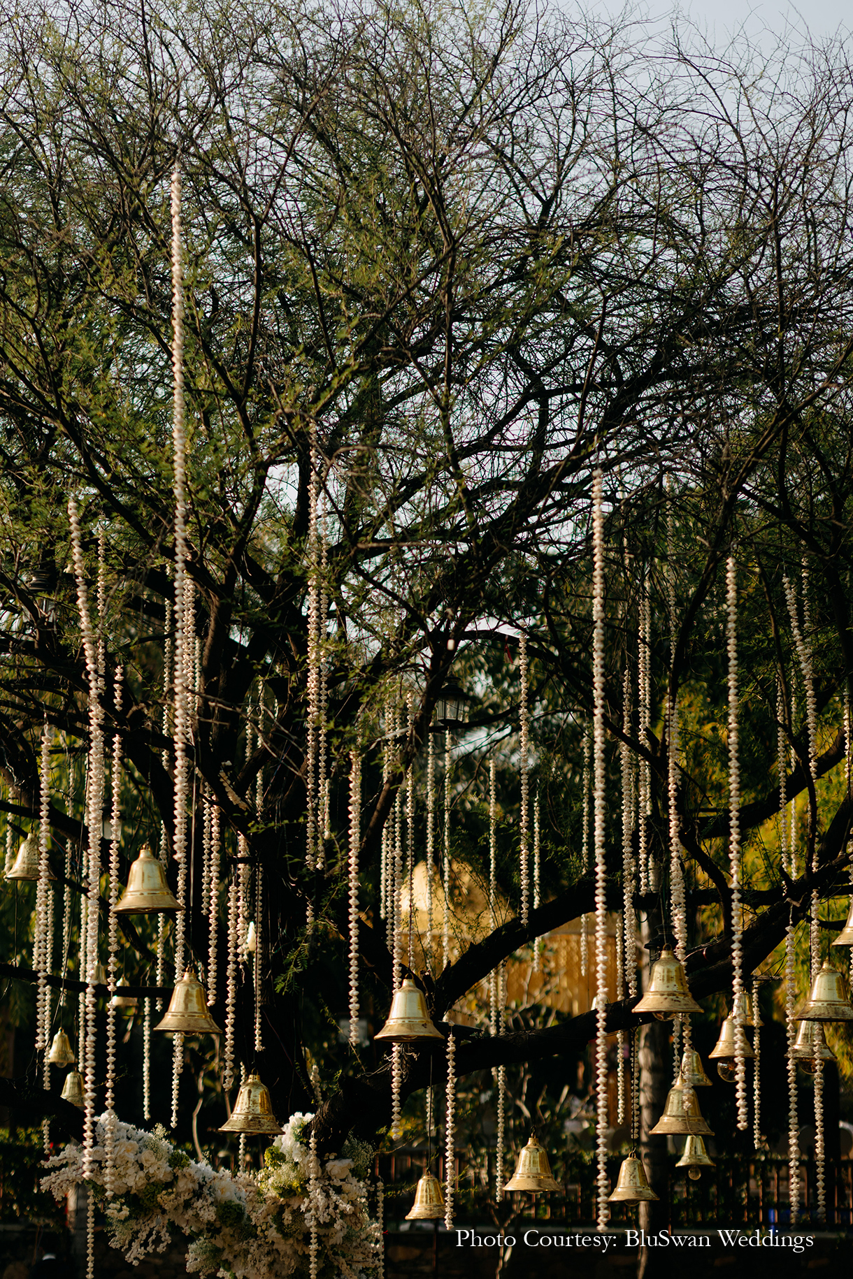 Bhoomi and Devarsh, Udaipur