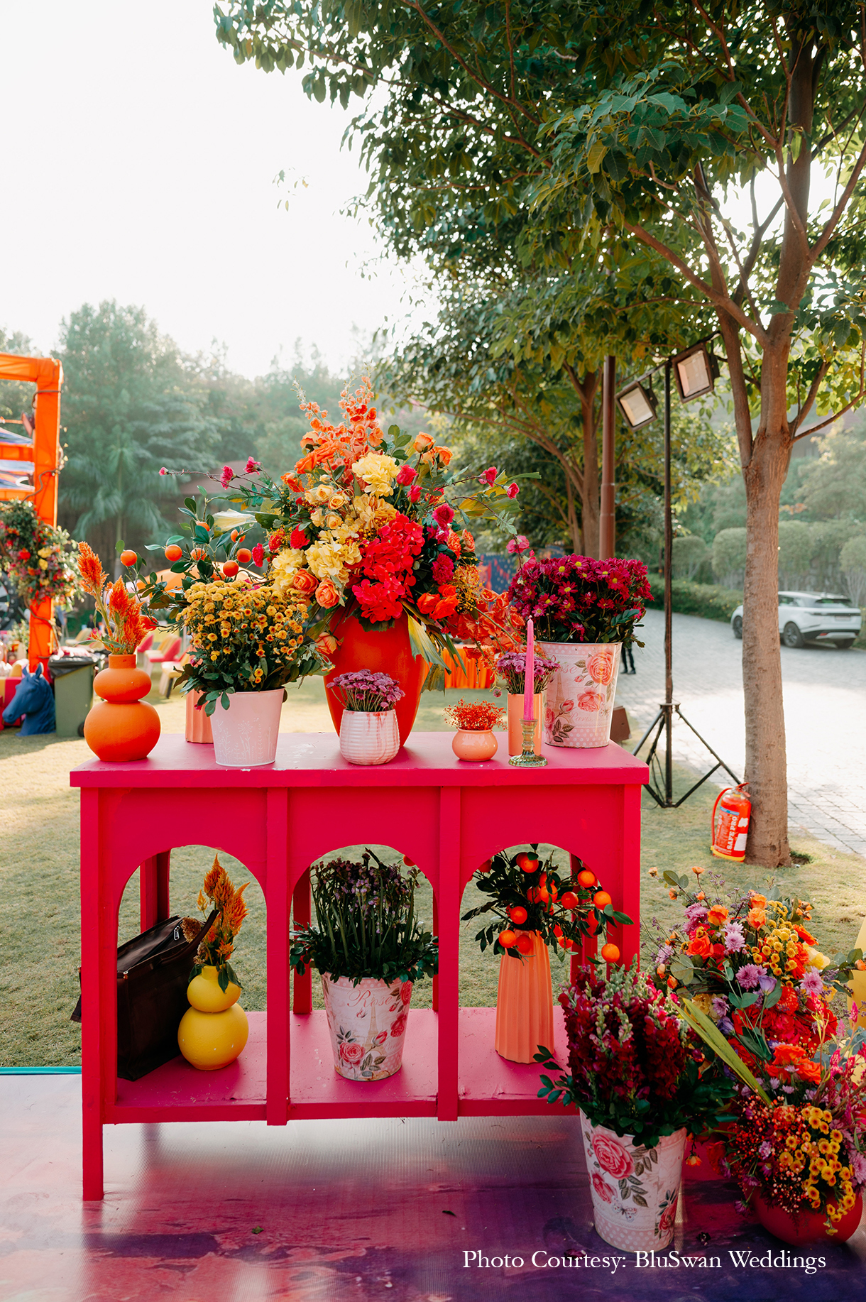 Bhoomi and Devarsh, Udaipur