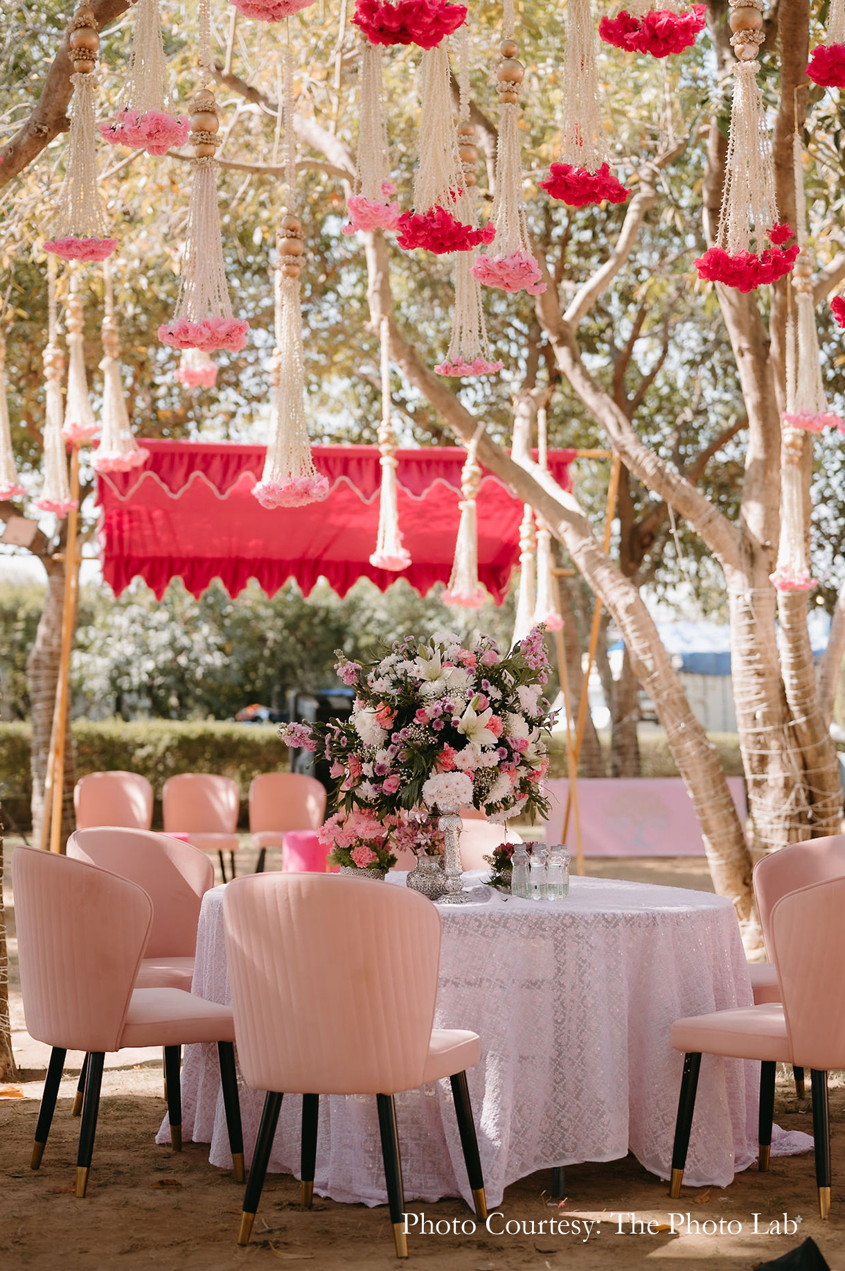 Dishi and Chirag, Rajasthan