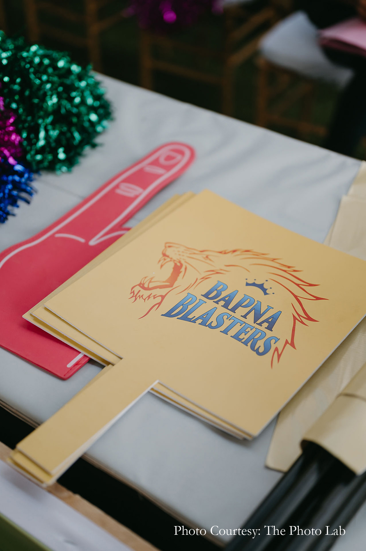 Dishi and Chirag, Rajasthan