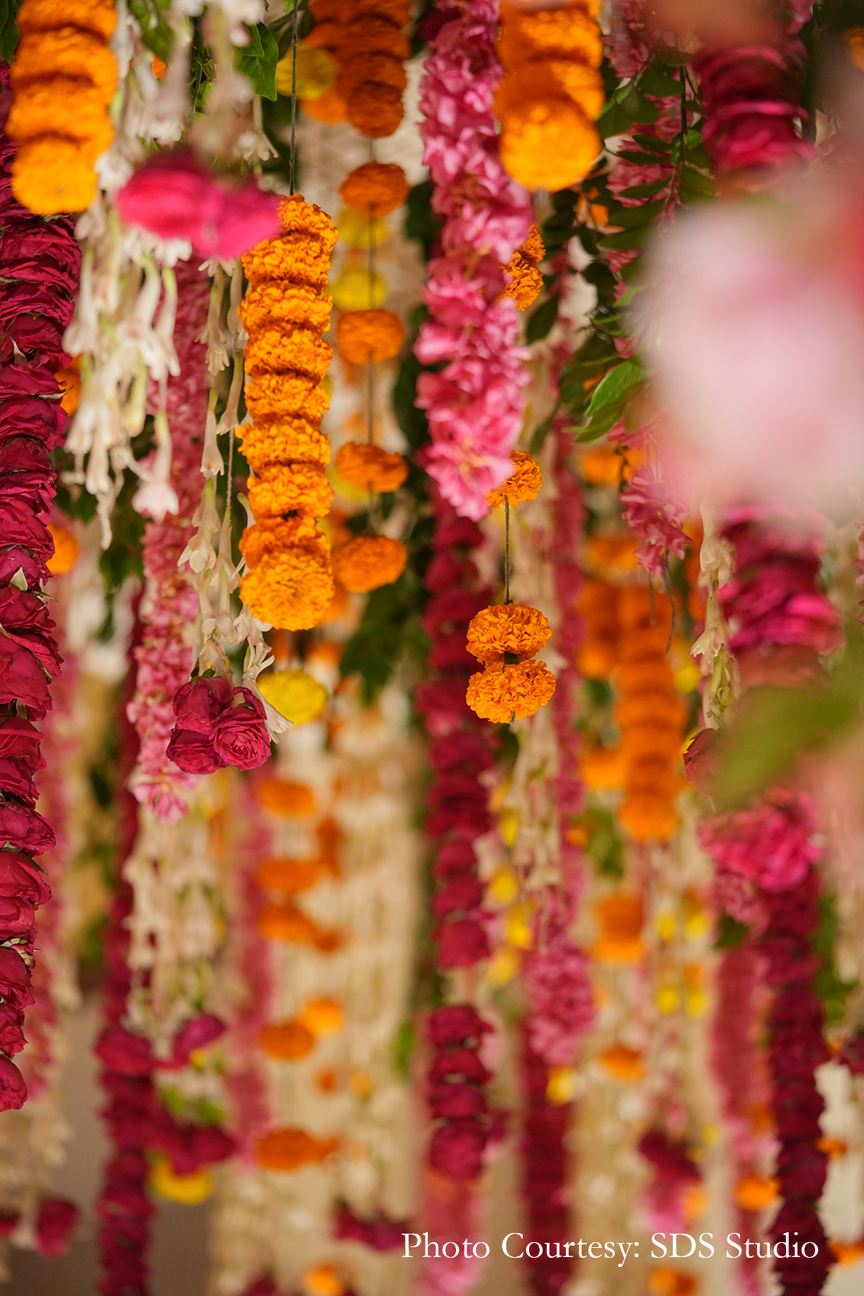 Gaurav Bajaj and Samantha Sheahan, Gurgaon
