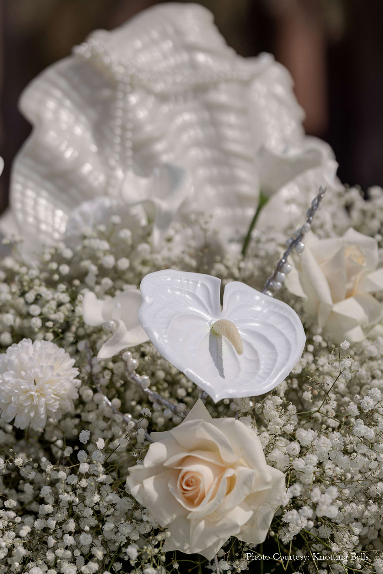 Jiah and Jenil, Abu Dhabi