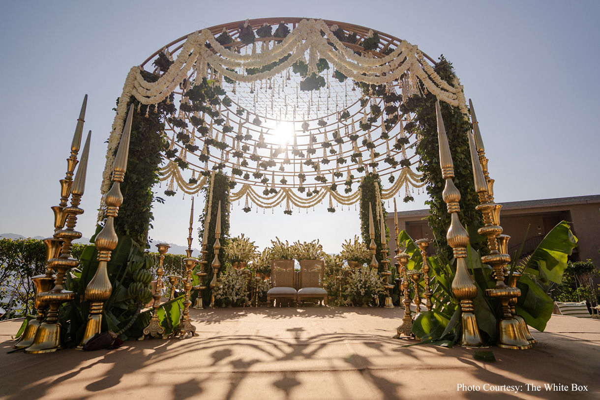 Jinal and Sarthak, Jim Corbett