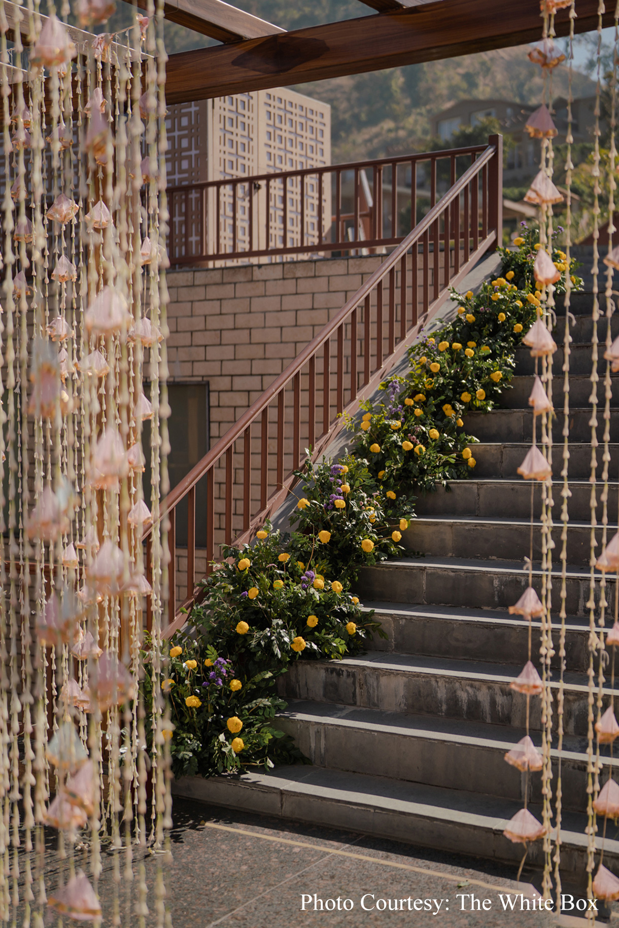 Jinal and Sarthak, Jim Corbett