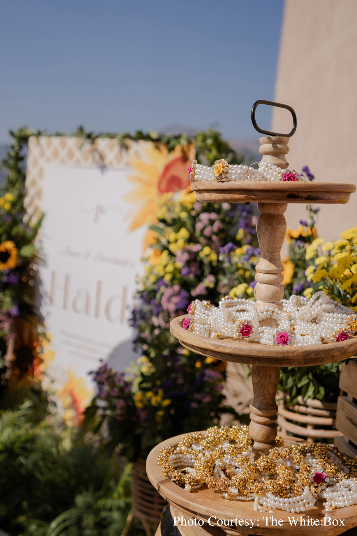 Jinal and Sarthak, Jim Corbett