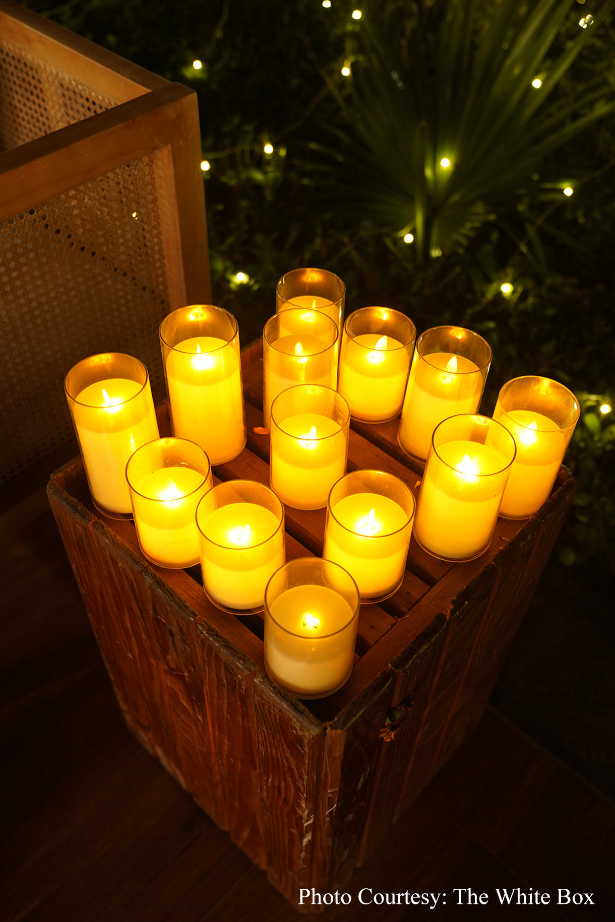 Jinal and Sarthak, Jim Corbett