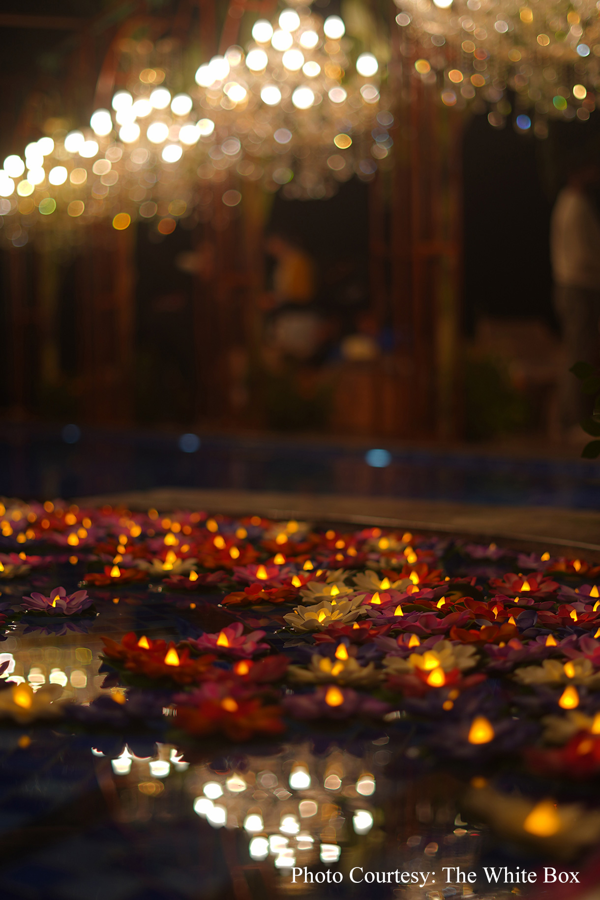 Jinal and Sarthak, Jim Corbett