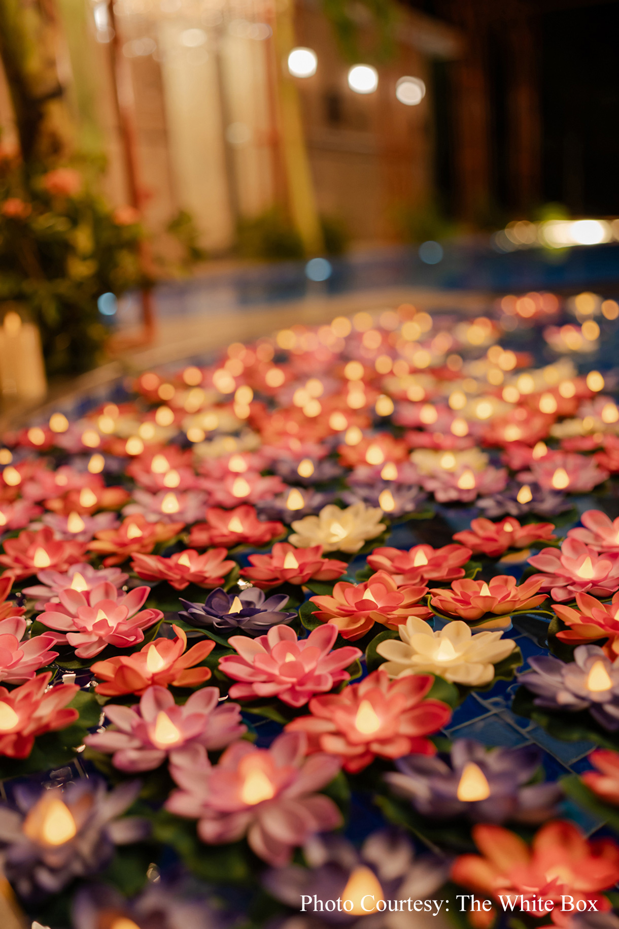 Jinal and Sarthak, Jim Corbett
