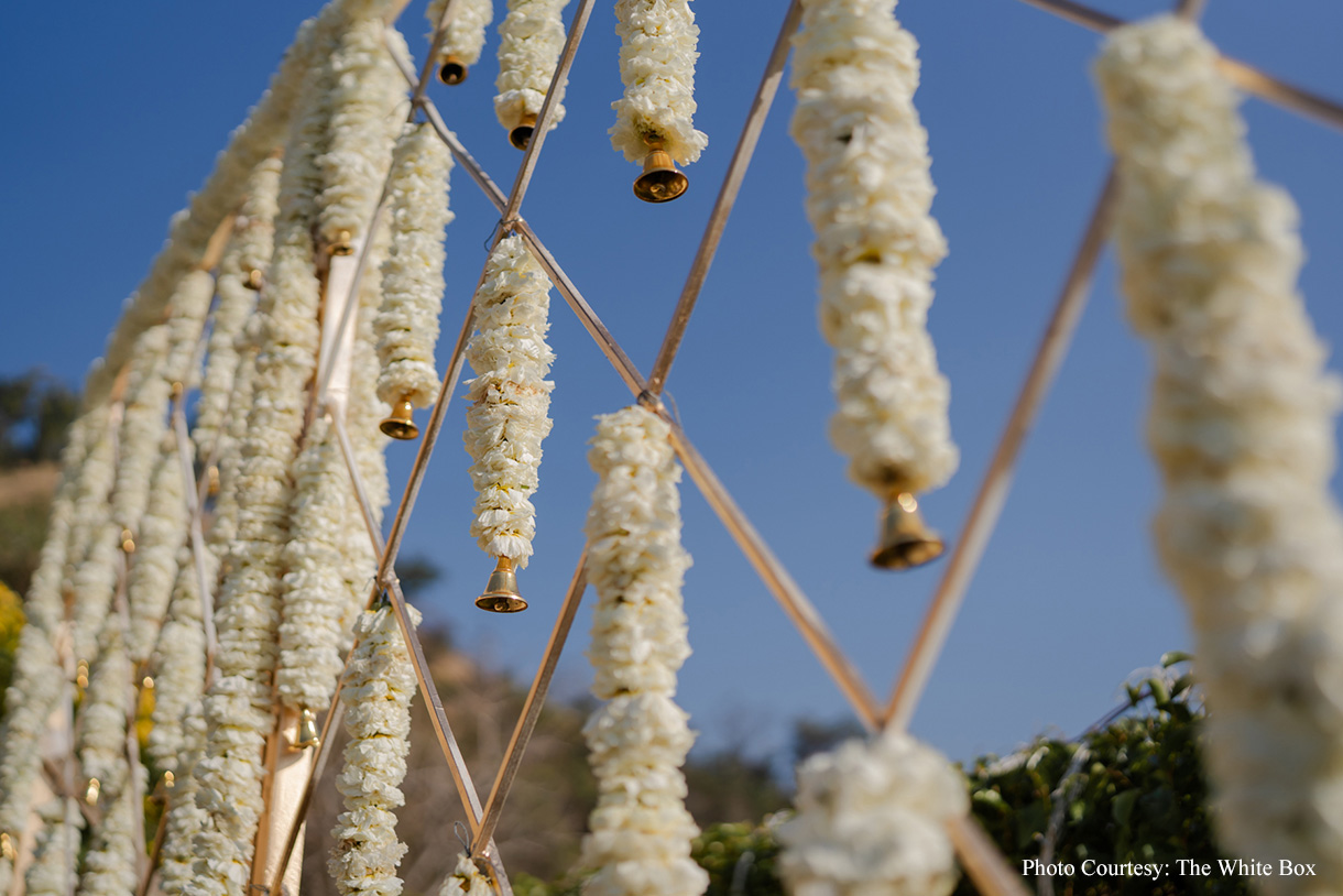 Jinal and Sarthak, Jim Corbett