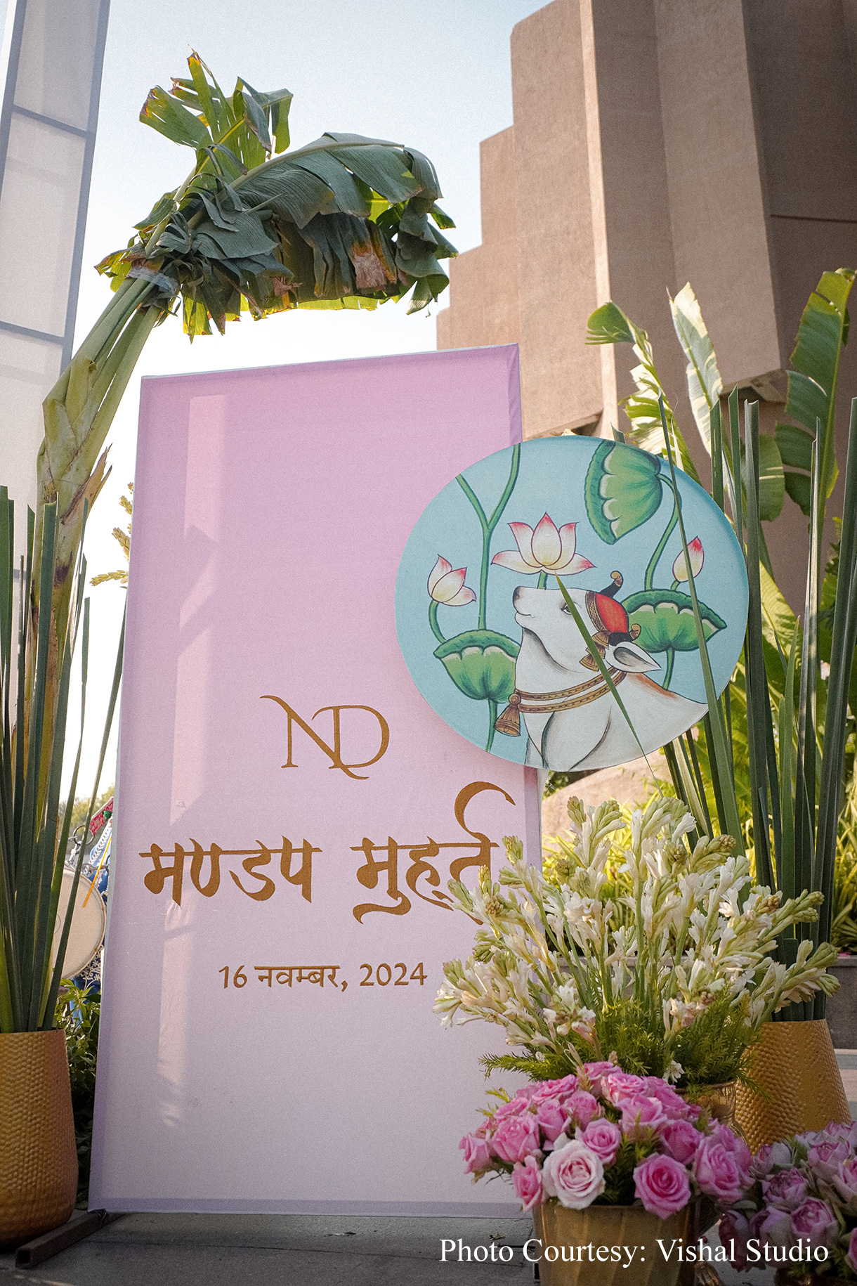 Neer and Dhruv, Udaipur