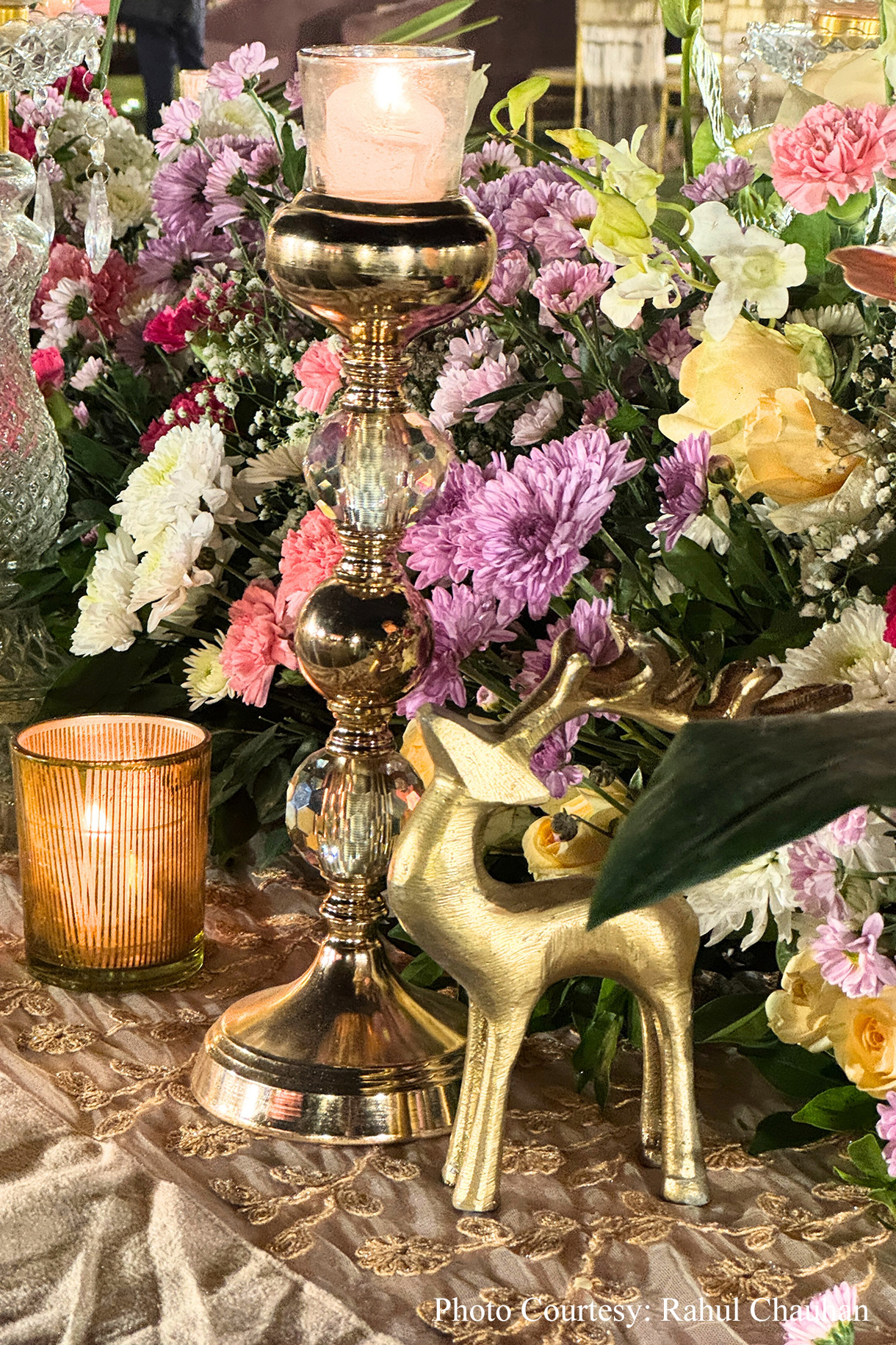 Pawan and Bhoomi, Pushkar