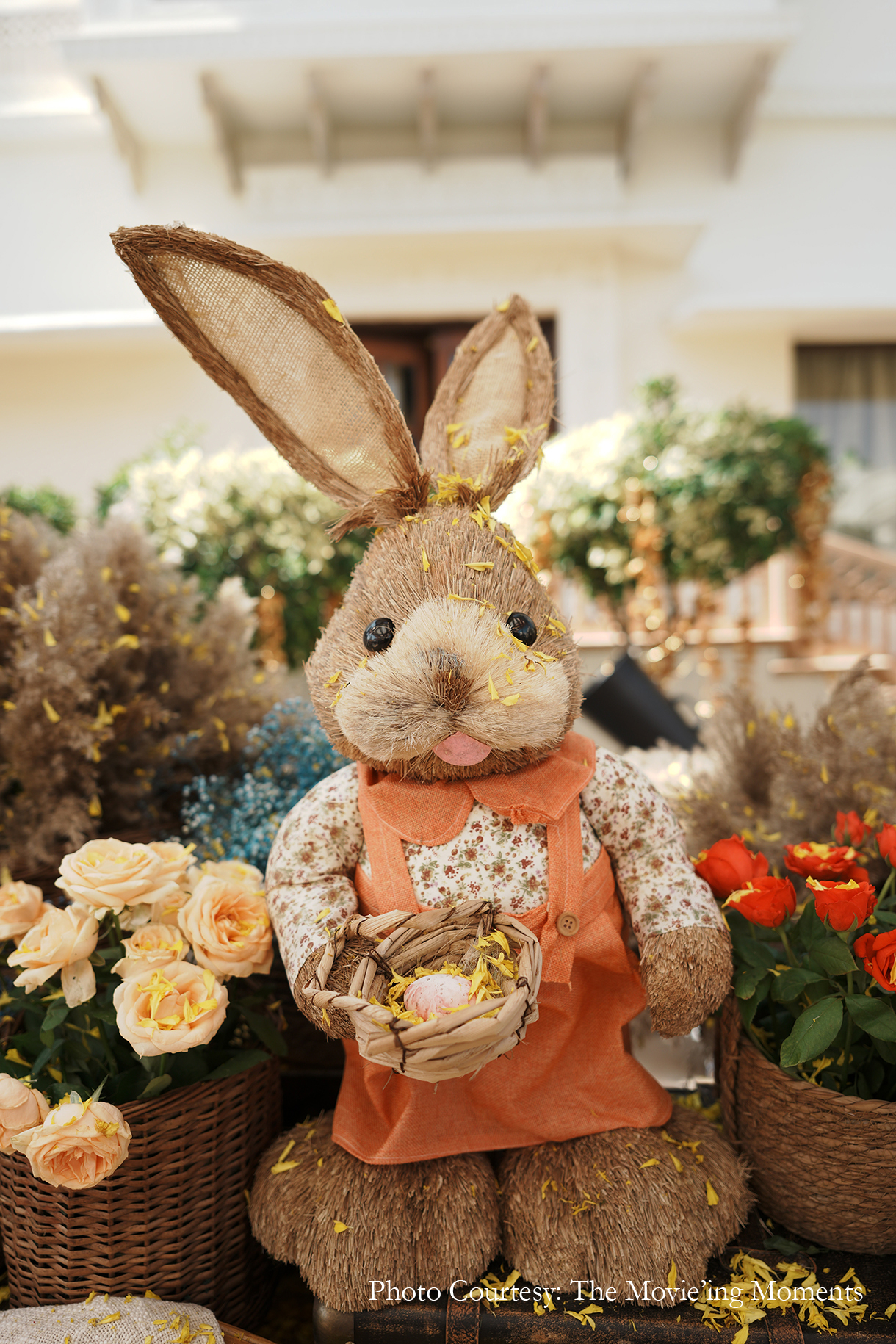 Rhia and Raj, Jaipur