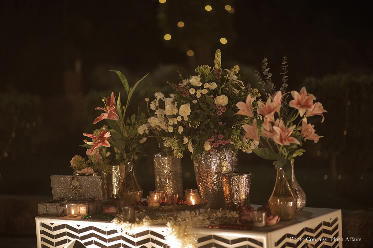 Sakshi and Tushar, Udaipur