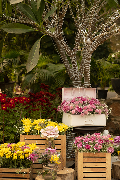 Tanya and Vivek, Novotel, Lucknow Tanya and Vivek, Novotel, Lucknow