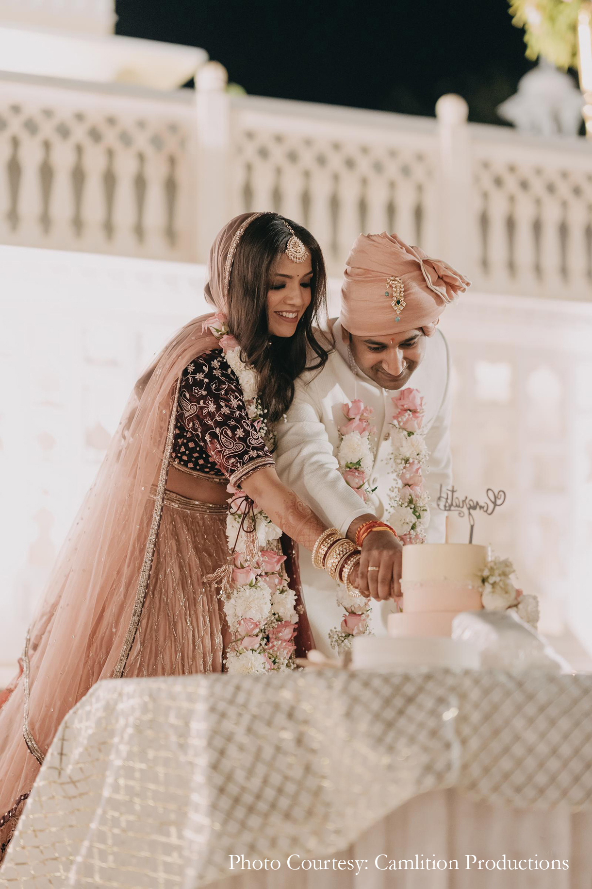 Shilpa and Harsh Agarwal, Ranthambhore