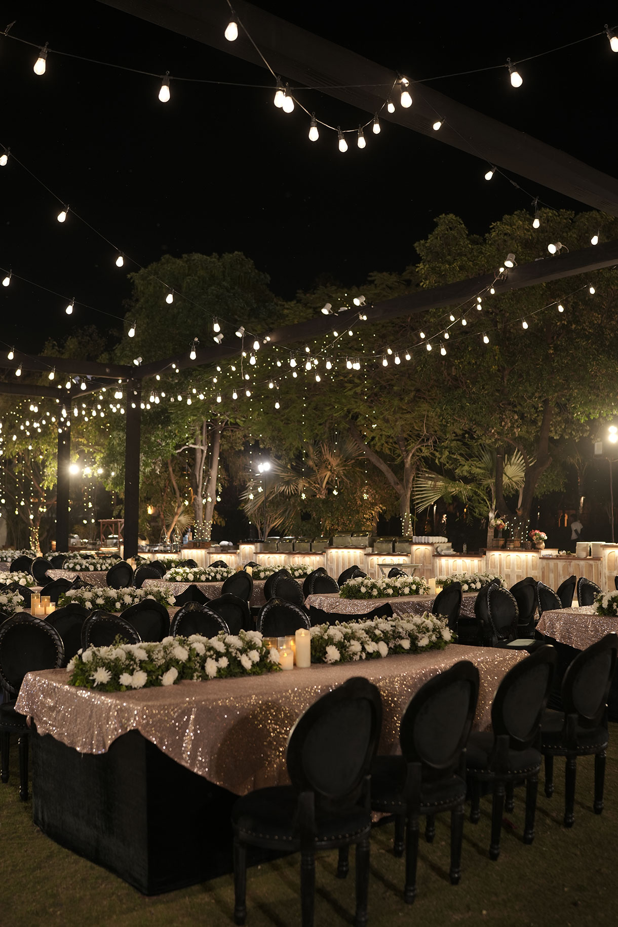 Shivika and Ashish, Radisson Blu Palace Resort & Spa, Udaipur