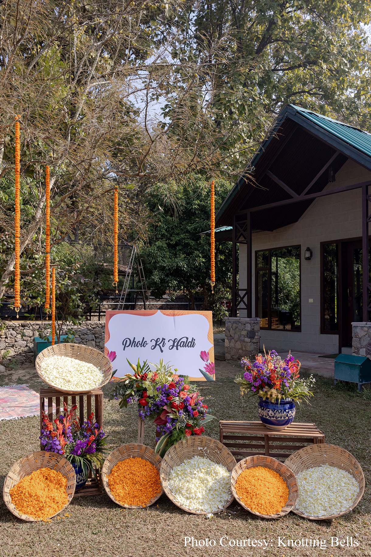 Swati & Tanishq, Jim Corbett