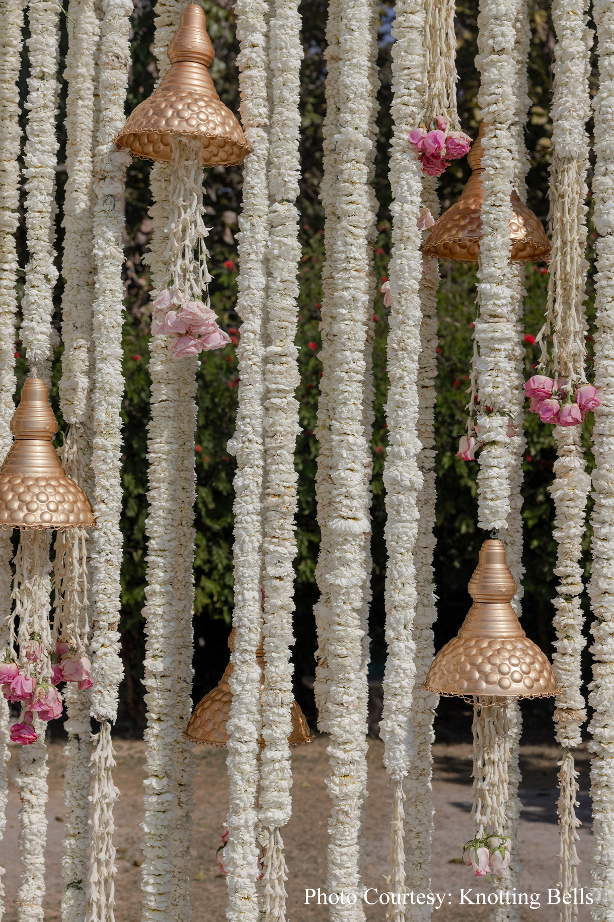 Swati & Tanishq, Jim Corbett