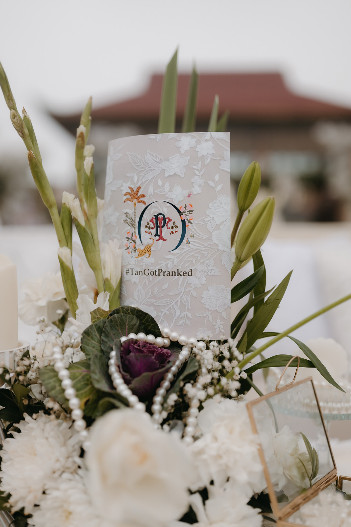 Tanya and Priyank, Ananta Spa & Resort, Jaipur