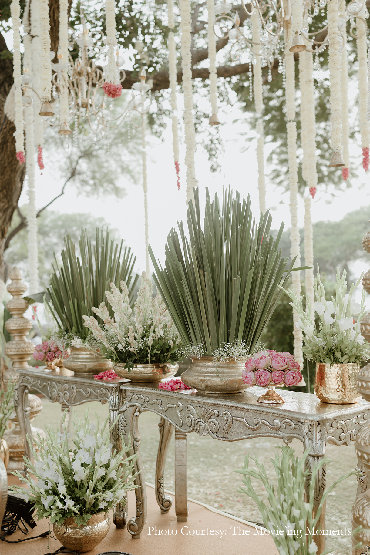 Vaishnavi and Nirav Shobhawat, Udaipur