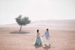frozen-vibes-by-nikhil-16