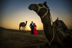 symphony-shutters-11