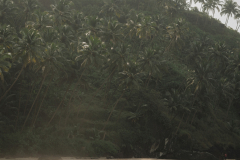 weddings-by-milind-malik-13